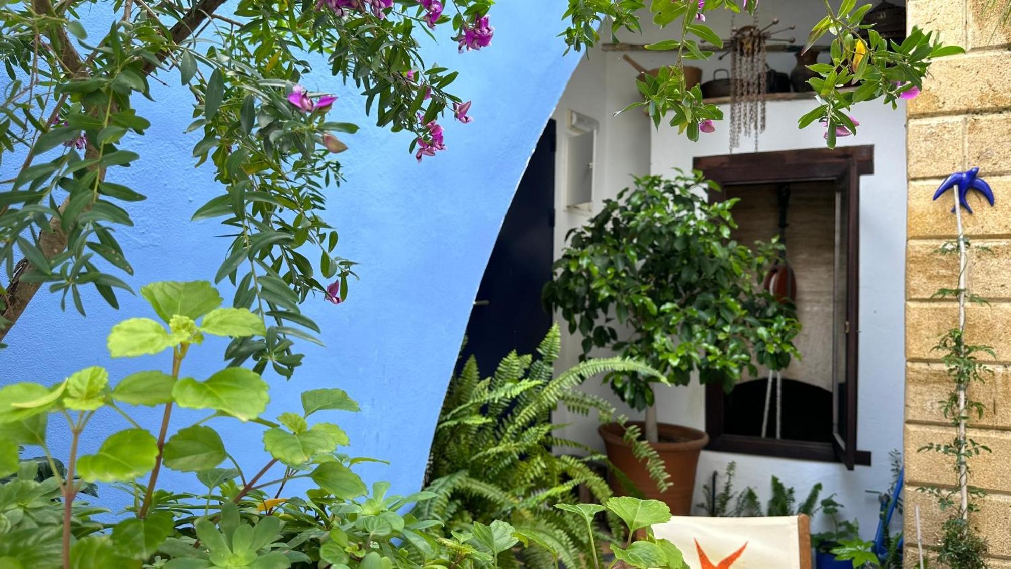 Hostal Casa Alborada Conil De La Frontera Zewnętrze zdjęcie